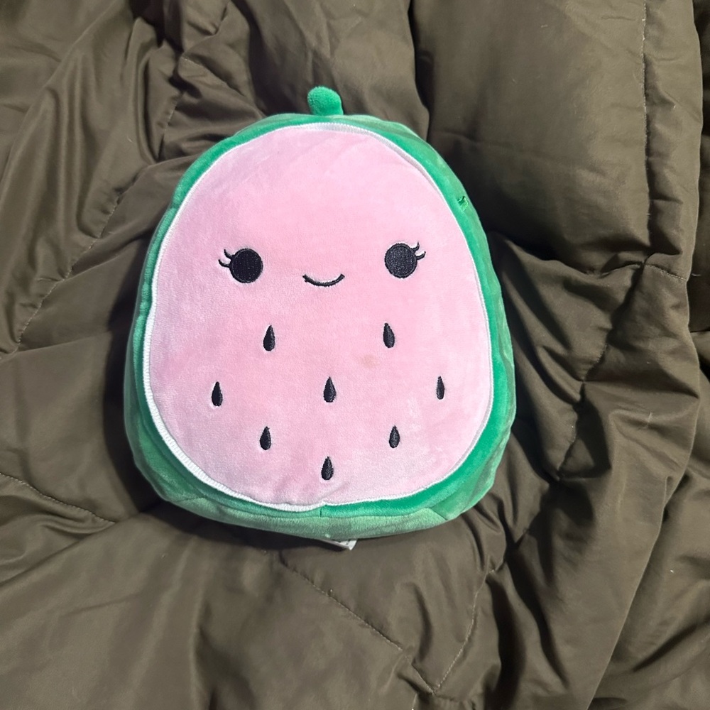Wanda the watermelon 7” squishmallow